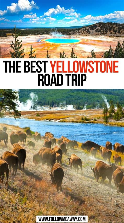 The Best Yellowstone Road Trip Artofit