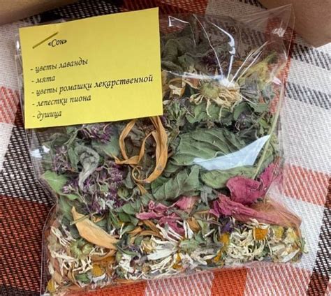 5 травяных сборов на все случаи жизни: секретами делится травник ...