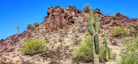 7 Best Hiking Trails In South Mountain Village, Arizona | Trip101