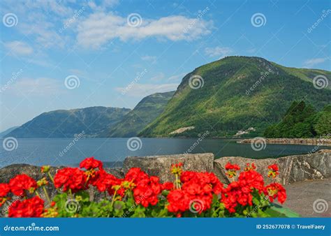 Norway - Mountain Sea View. Norwegian Fjords with Red Flowers Stock ...