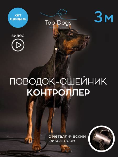 Поводок-ошейник "Контроллер" с металлическим фиксатором купить на OZON ...
