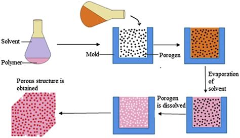 4 Schematic Diagram Showing The Solvent Casting And Particulate