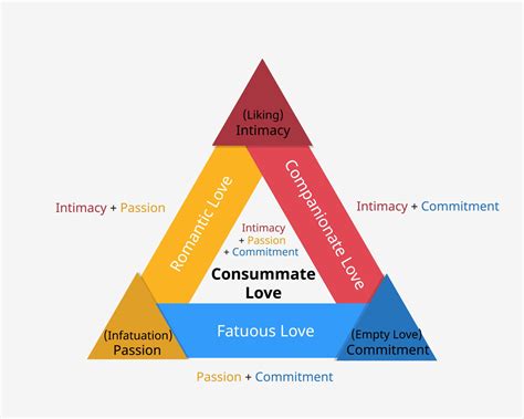 Sternberg's Triangular Theory of Love | 8 Types of Love