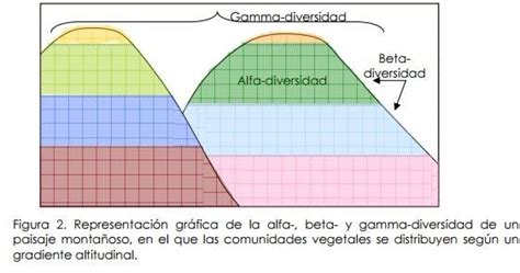 Descubriendo La EcologÍa Diversidad Alfa Beta Y Gamma