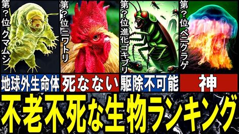 【閲覧注意】死なない生き物 Top10【ゆっくり解説】【総集編】 Youtube