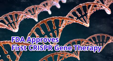 Fda Approves First Crispr Gene Therapy To Treat Sickle Cell Disease