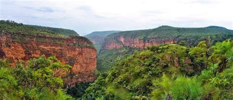 5 Best wildlife Sanctuaries in Andhra Pradesh | National Parks near ...