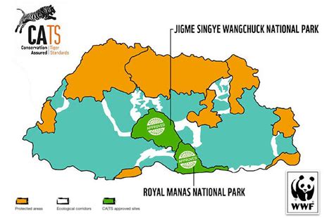 Bhutan Wins Recognition For Tiger Conservation Efforts Buddhistdoor