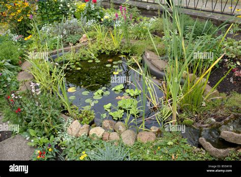 Small garden pond Stock Photo - Alamy