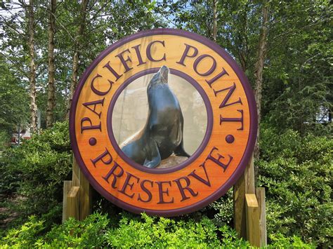 Pacific Point Preserve Seaworld Orlando 2016 Flickr