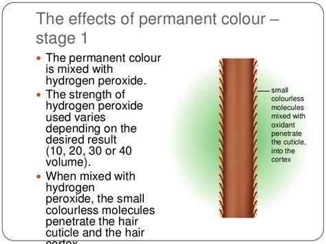 The Effects Of Different Colouring Products Week2