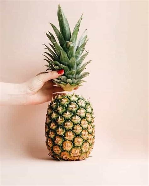 Growing a pineapple from the top | In 4 easy steps - Houseplant Central