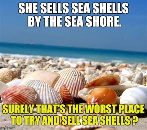 Selling Sea Shells By The Sea Shore Imgflip