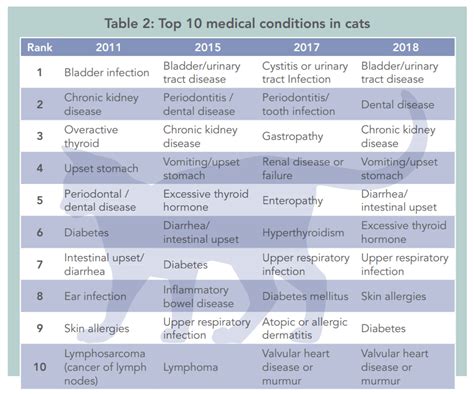 10 most common medical conditions in dogs and cats | LaptrinhX / News