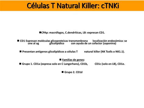 C Lulas T Y Natural Killer Ctnki Jayro Vargas Medina Udocz