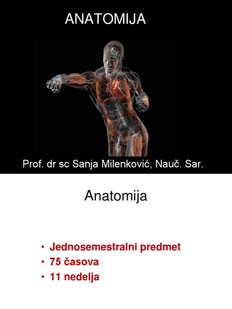 1anatomija