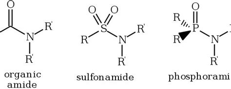 What Is The Difference Between Amide And Peptide Bond Pediaacom