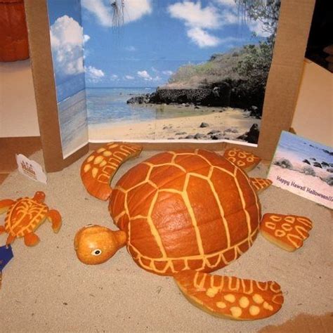 Sea Turtle Pumpkin Carving