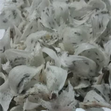 Sarang Burung Walet Kotor 1kg Shopee Indonesia