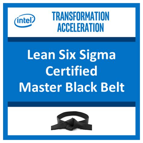 Lean Six Sigma Certified Master Black Belt - Acclaim