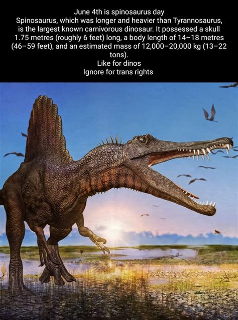 June Is Spinosaurus Day Spinosaurus Which Was Longer And Heavier Than