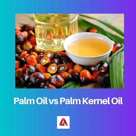 Palm Oil Vs Palm Kernel Oil Difference And Comparison