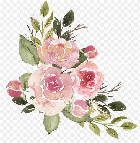 Watercolor Flower Decoration Png Free Ilration Flowers Illustration