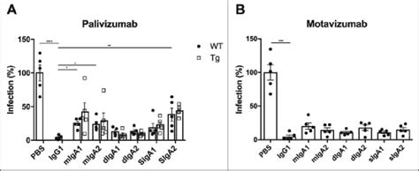 In Vivo Protection Against Rsv Infection By Intranasally Administered