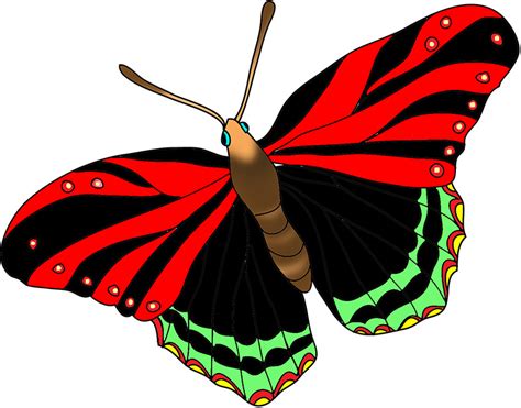 Free Red Butterfly Cliparts, Download Free Red Butterfly Cliparts png ...