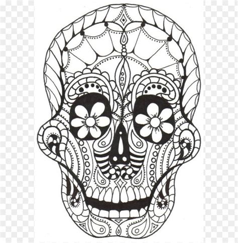 Free download | HD PNG dia de los muertos skull coloring pages colored ...