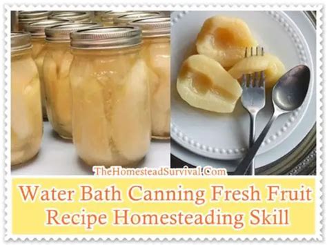 Water Bath Canning Fresh Fruit Recipe Homesteading Skill The