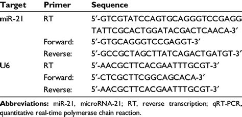 The Primer Sequences Of Real Time Qrt Pcr Products Download Table