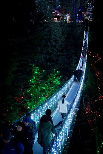 Capilano Suspension Bridge Lighted Up At Night Stock Photo - Download ...