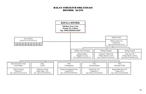 Struktur Organisasi Pemerintahan