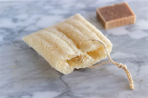 Qu Son Las Esponjas De Luffa Beneficios Y Propiedades Blog De