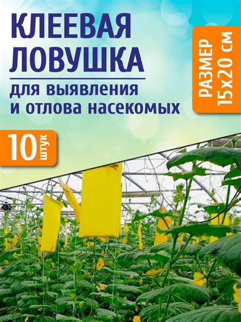 Клеевая желтая ловушка для отлова насекомых, белокрылки - купить с ...