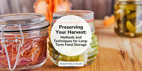 Preserving Your Harvest: Methods and Techniques for Long-Term Food Sto