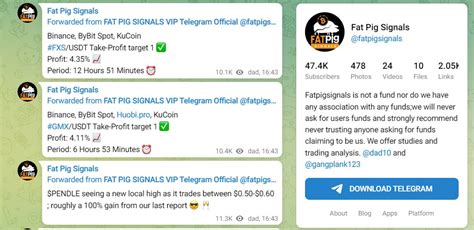 Best Crypto Signals In Telegram DailyCoin