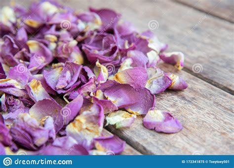 Dry Rose On Wood Table Stock Image Image Of Romance 172341875