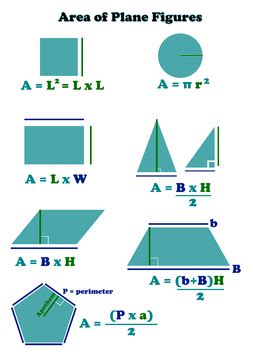 Area Of A D Shape X By Marissa Labelle Teachers Pay Teachers