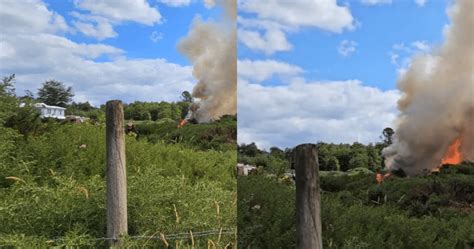 Alerta Roja En Dalcahue Incendio Forestal Amenaza Viviendas