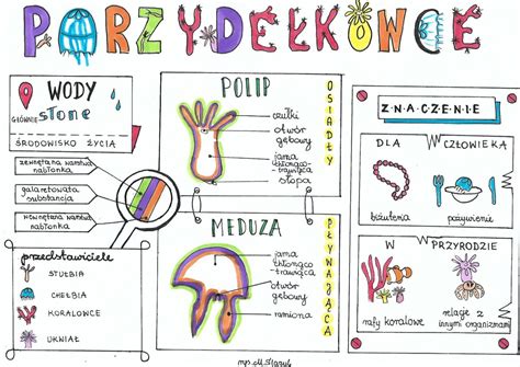 Klasa 6 Biologia Parzydełkowce Złoty nauczyciel