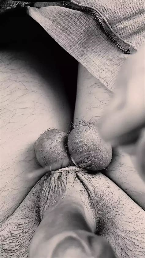 Needles In Ball Gay Amateur Amateur Porn Xhamster