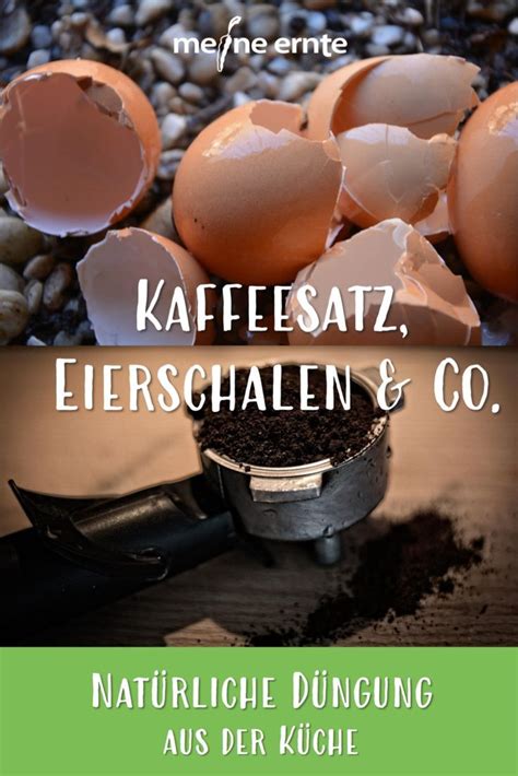 Kaffeesatz Als D Nger Meine Ernte De Kaffeesatz Gem Se Anpflanzen