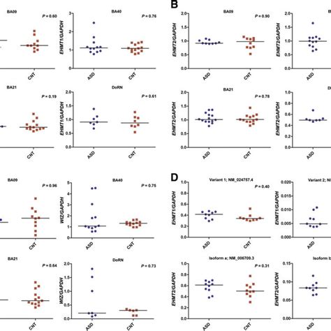 Gene Expression Analysis Of A Ehmt1 B Ehmt2 And C Wiz In Download Scientific Diagram