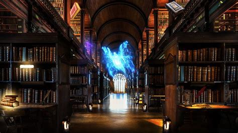 The Hogwarts Library - scoopsop