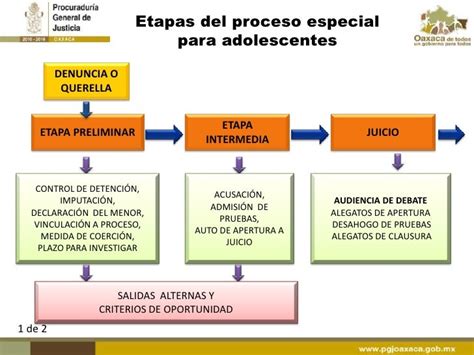 Mitos Y Retos De La Justicia Penal Para Adolescentes 2