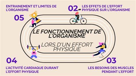 Cycle 4 Fonctionnement De L Organisme Pendant L Effort