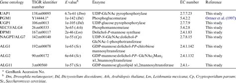 E Histolytica Putative Genes Involved In The Synthesis Of Download Table