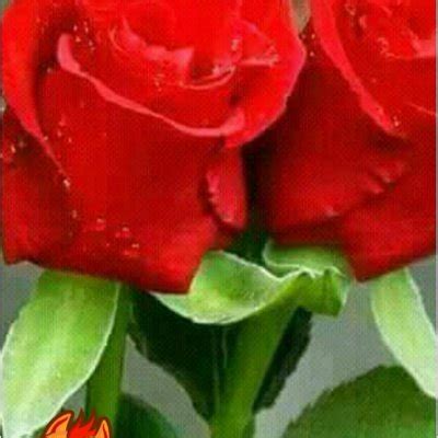 Sex Boy Phudi Ka Ashaq Lo Garl Twitter